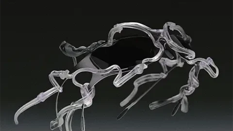 Lunettes avant-gardistes Parasite MORPH Alpha, monture recyclée 2024