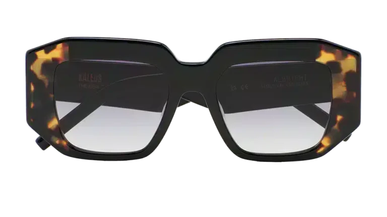 Vista frontal de las gafas de sol KALEOS Albright, montura de carey con lentes degradadas.