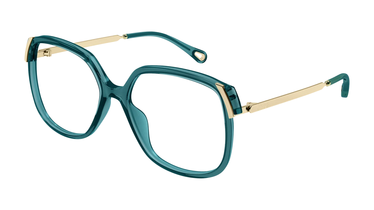 Chloé 2025-Aly-CH0287O - oversize sunglasses