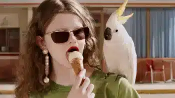 Tendances lunettes : les dernières nouveautés 110 Valentino Automne 2025