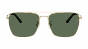 Oliver Peoples R-15 BRUSHED GOLD + G-15 POLAR