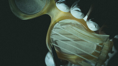 Paloceras MicroFactory glasses