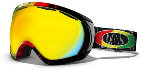 Oakley ADN Neige :