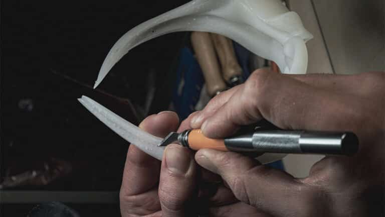 Paloceras x Robert Wun