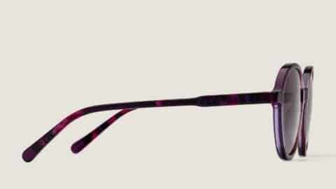 Gafas de sol Stelle, montura redonda de acetato violeta transparente, lentes grises, perfil